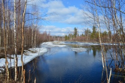 Справка об ожидаемом характере весеннего половодья 2023 года на реках Сибирского федерального округа
