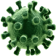 О мерах предупреждения распространения вирусных инфекций